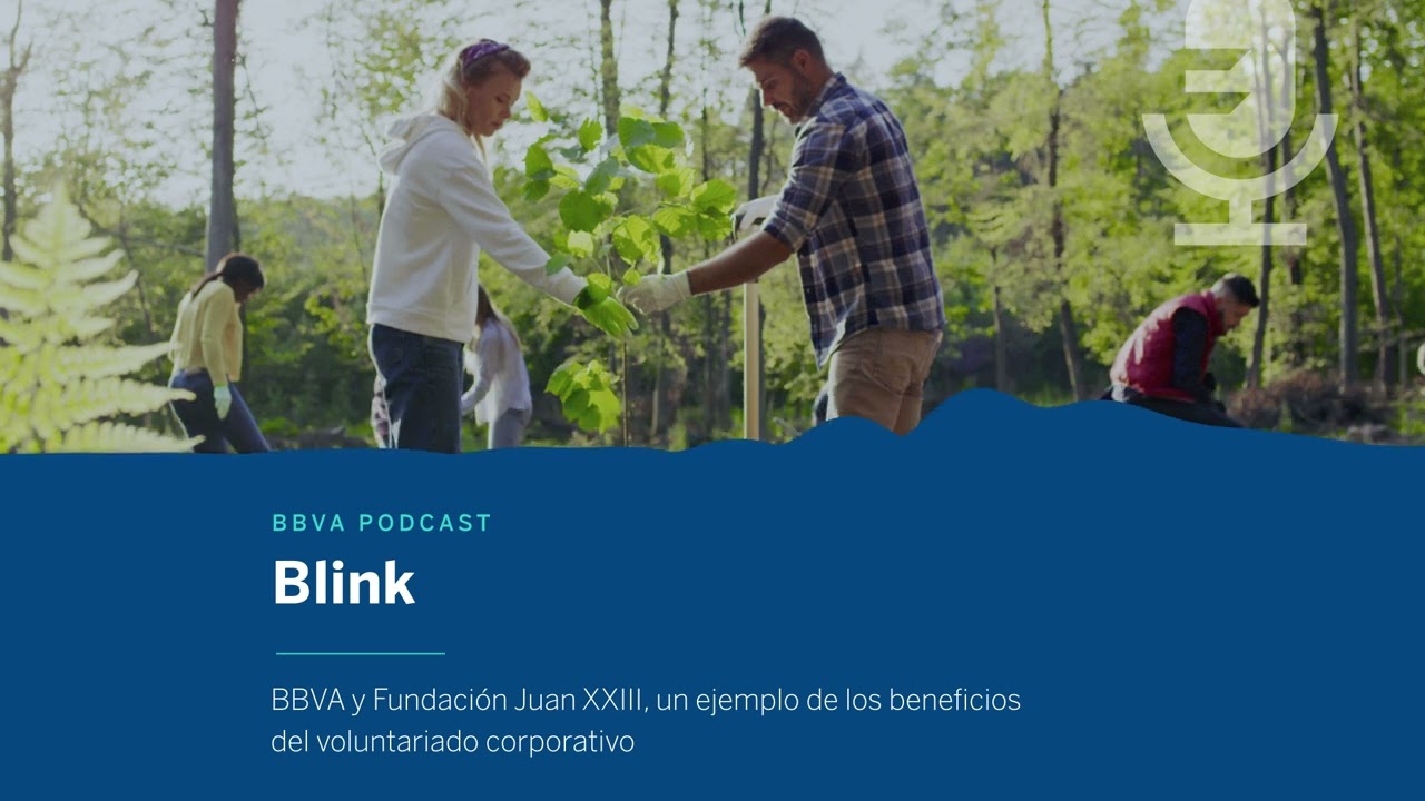 Impacto de Proyectos Solidarios en Programas de Voluntariado