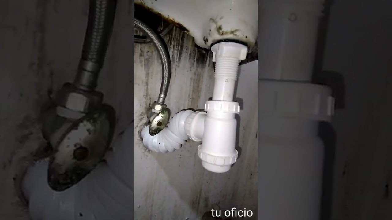 Excelencia en la Reparación de Botes Sifónicos